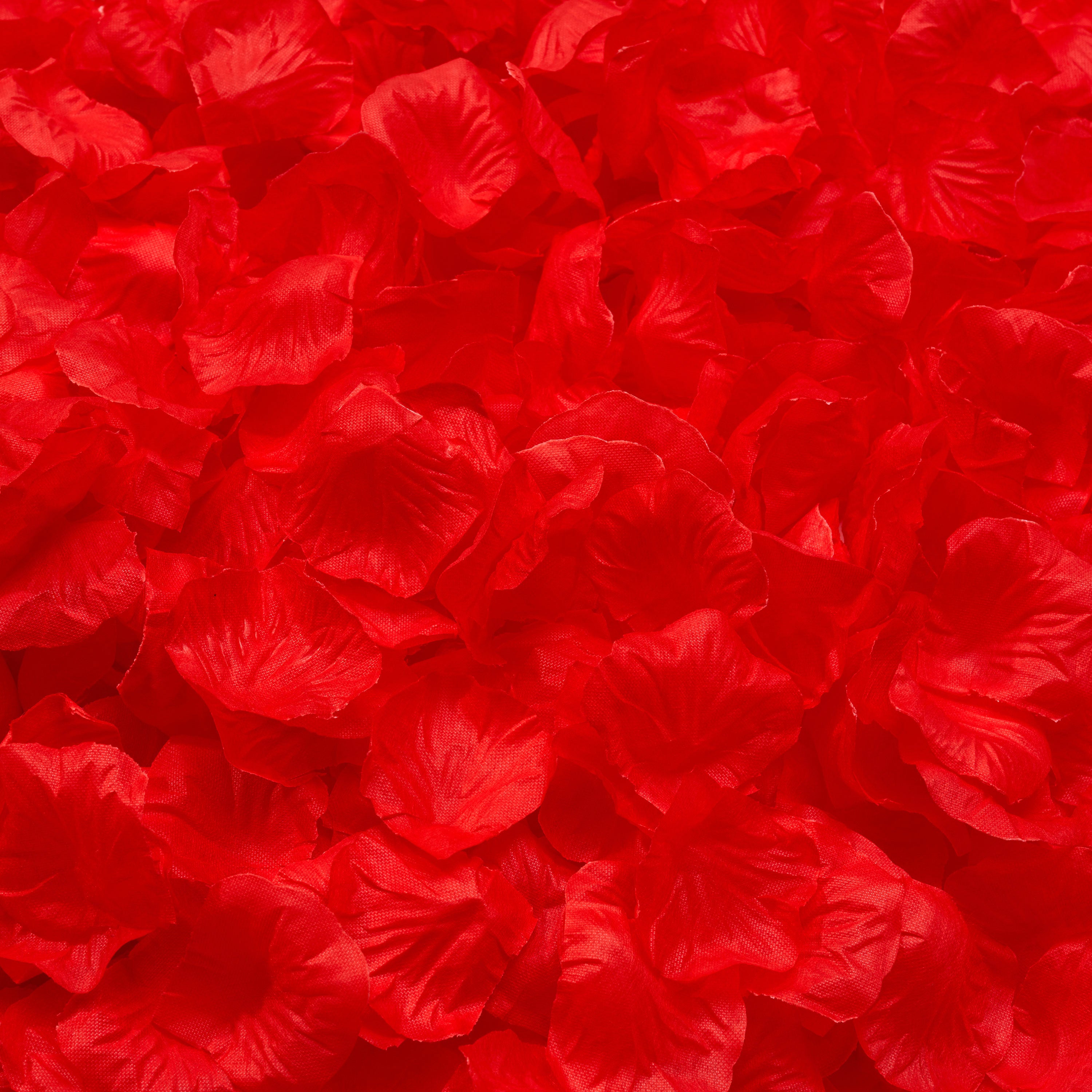 Silk Red Rose Petals