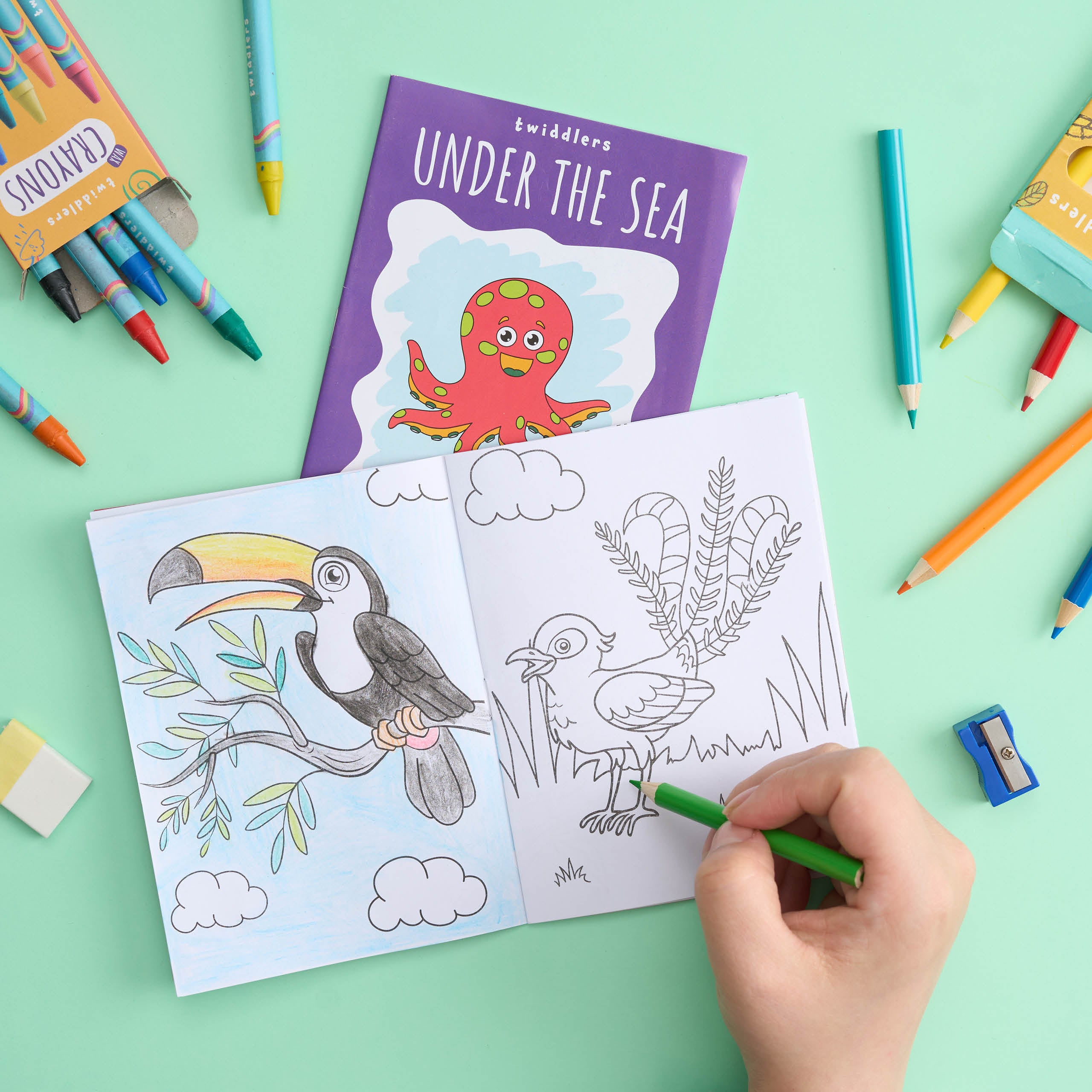 Mini Wildlife Colouring Activity Books