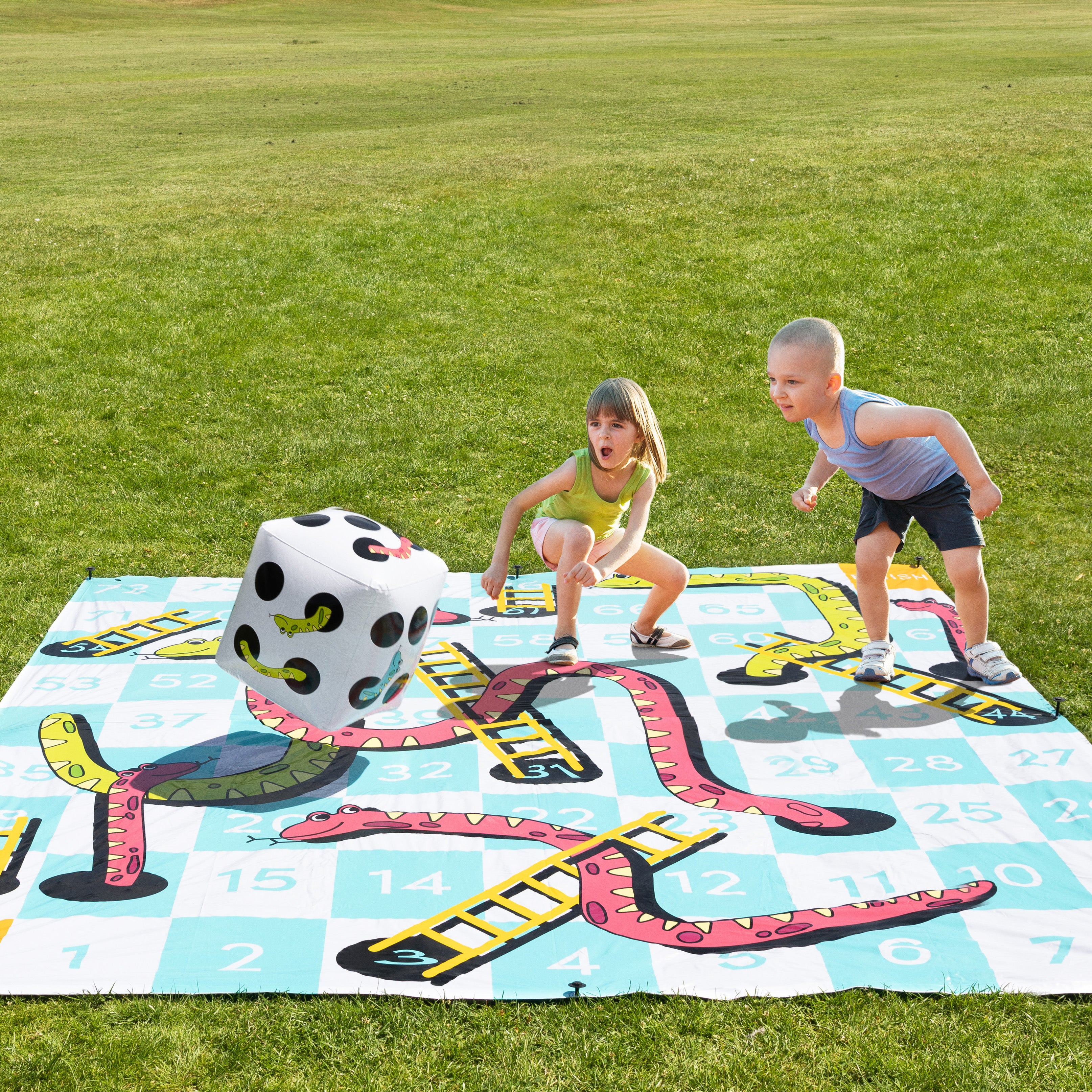 Giant Inflatable Snakes And Ladders