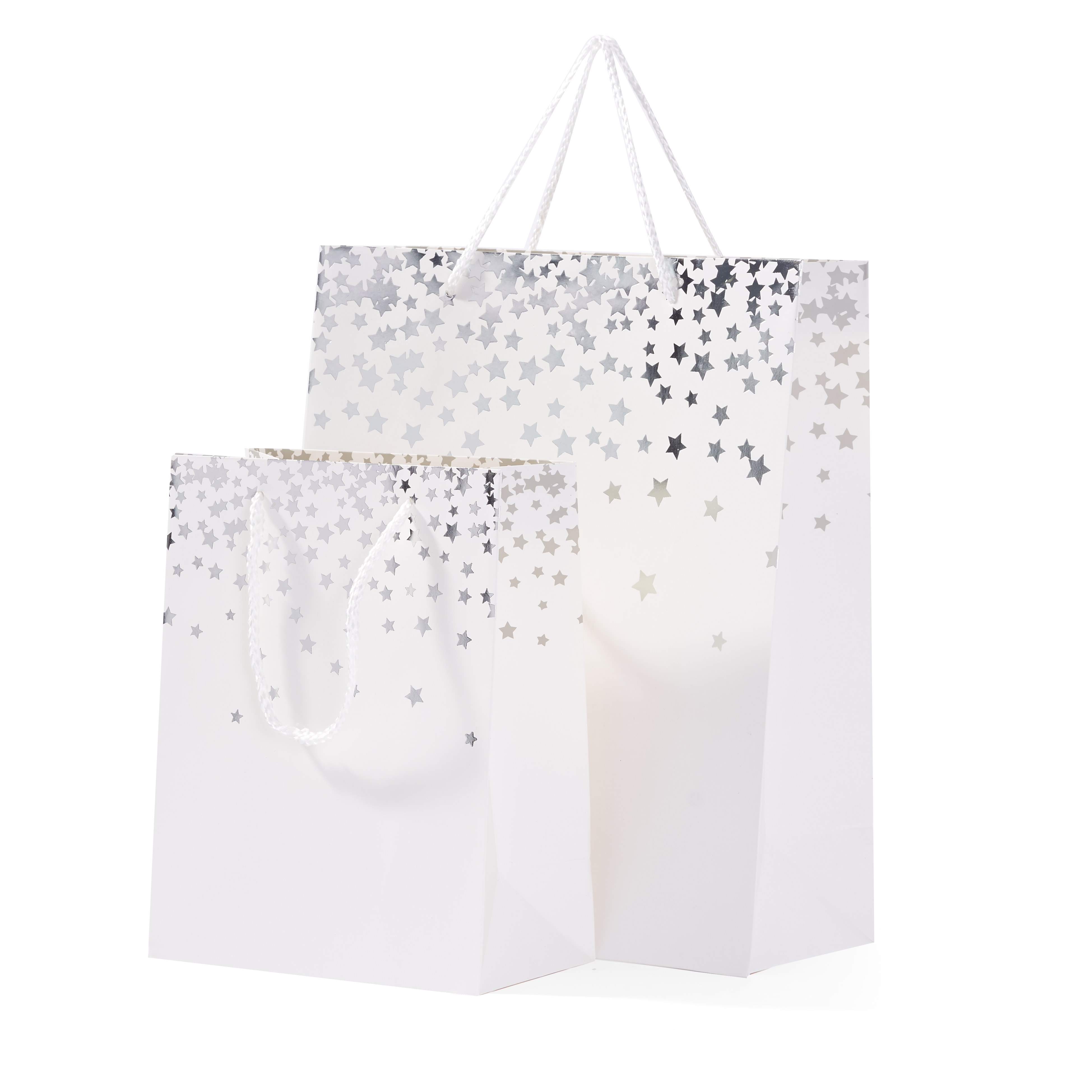 16 Coloured Gift Bags (2 Sizes)