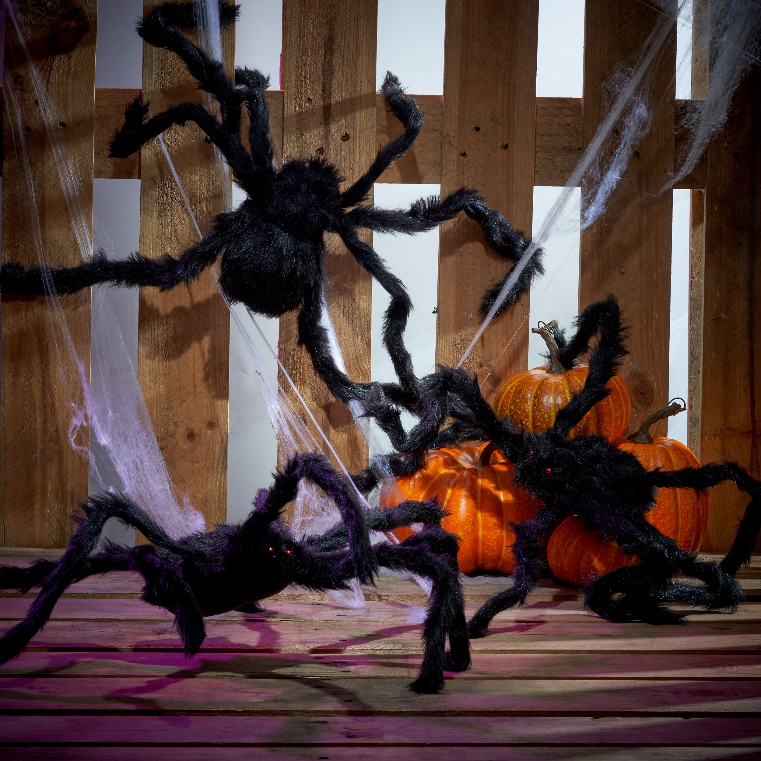 3 Giant Black Halloween Spiders