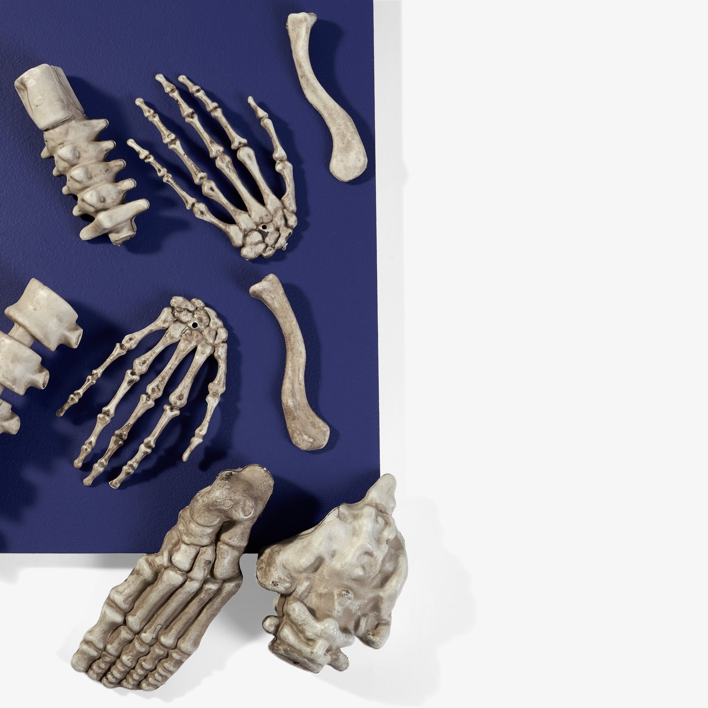 Skeleton Bones Halloween Decorations