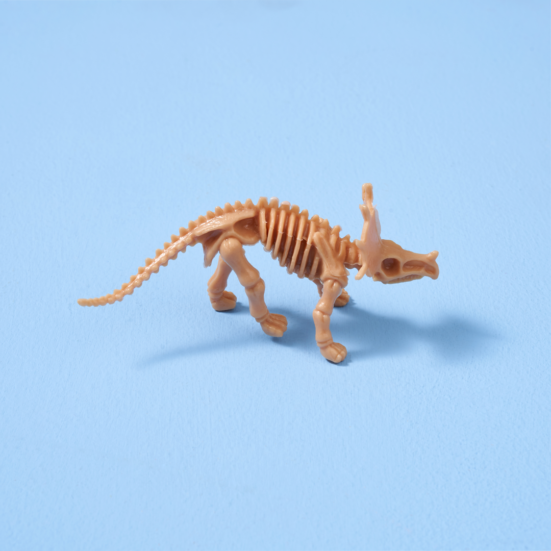Plastic dinosaur skeletons on sale